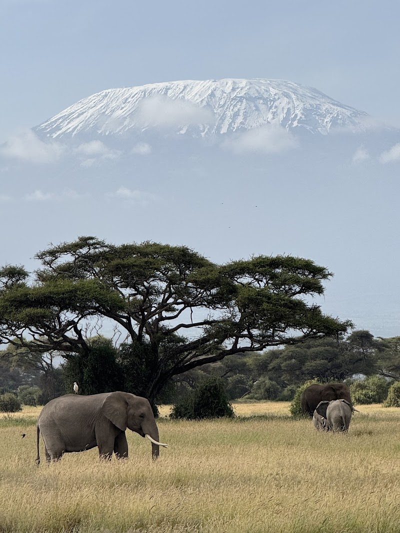 Amboseli