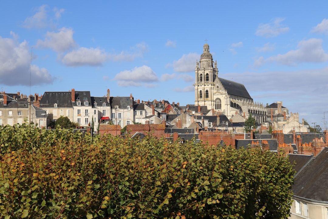 Châteaux de la Loire
