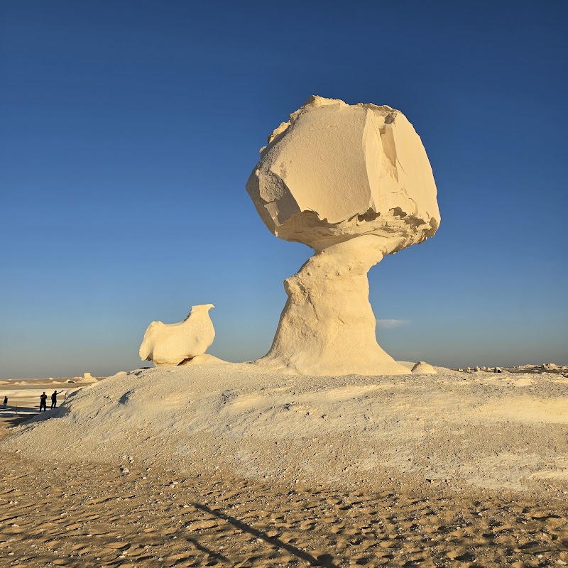 Désert blanc