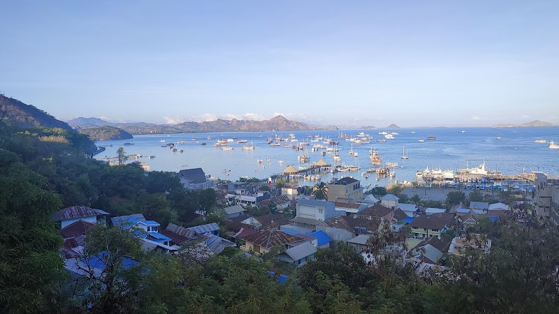 Komodo / Flores