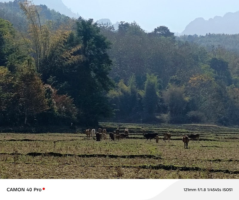 Luang Prabang