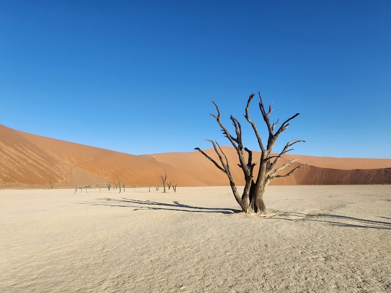 Sossusvlei