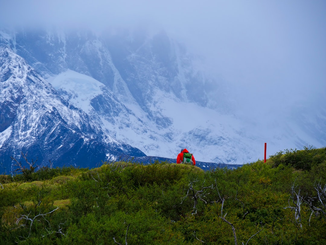 Torres del Paine