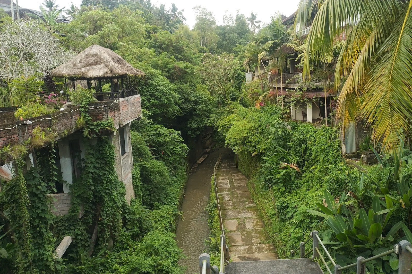 Bali (Ubud)