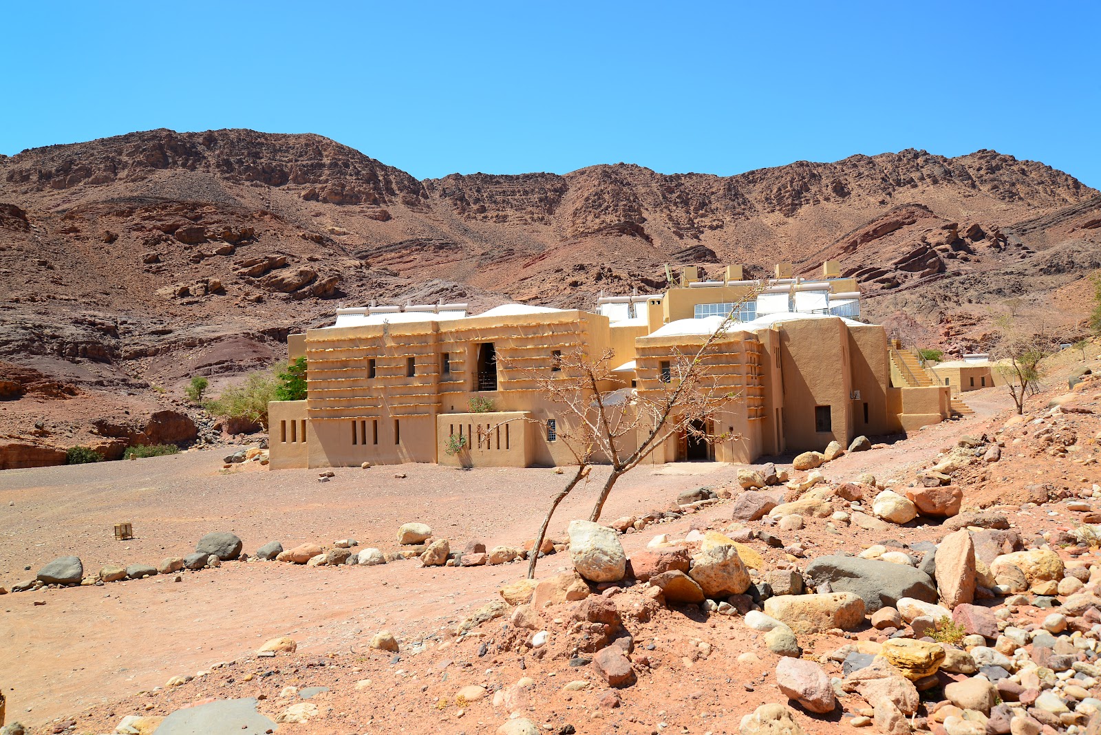 Petra