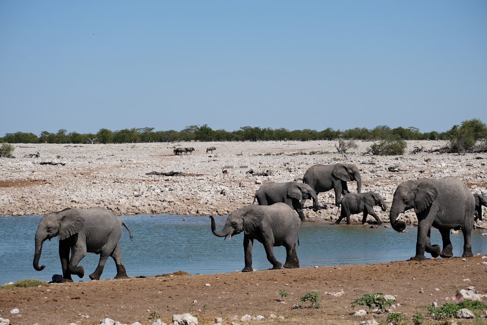 Etosha