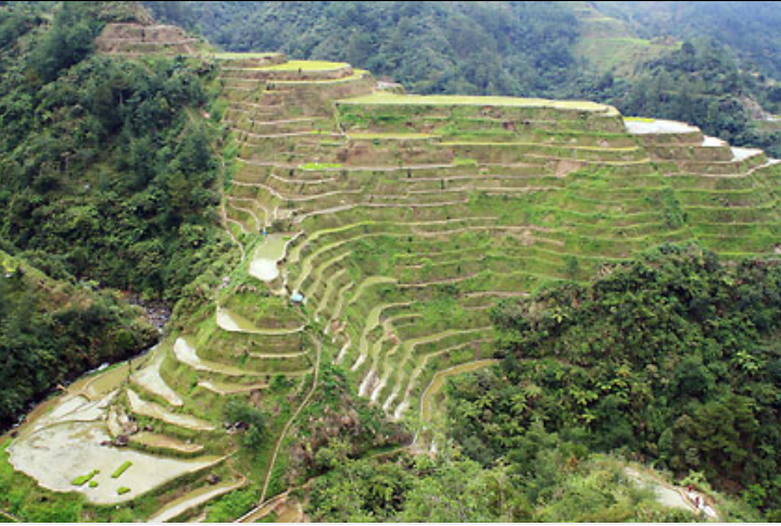 Banaue / Batad
