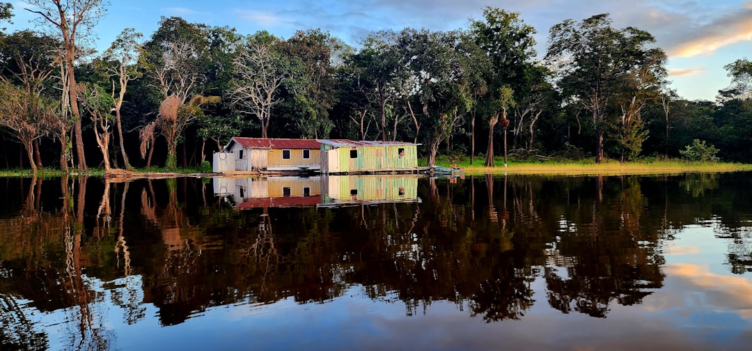 Amazonie (Manaus)