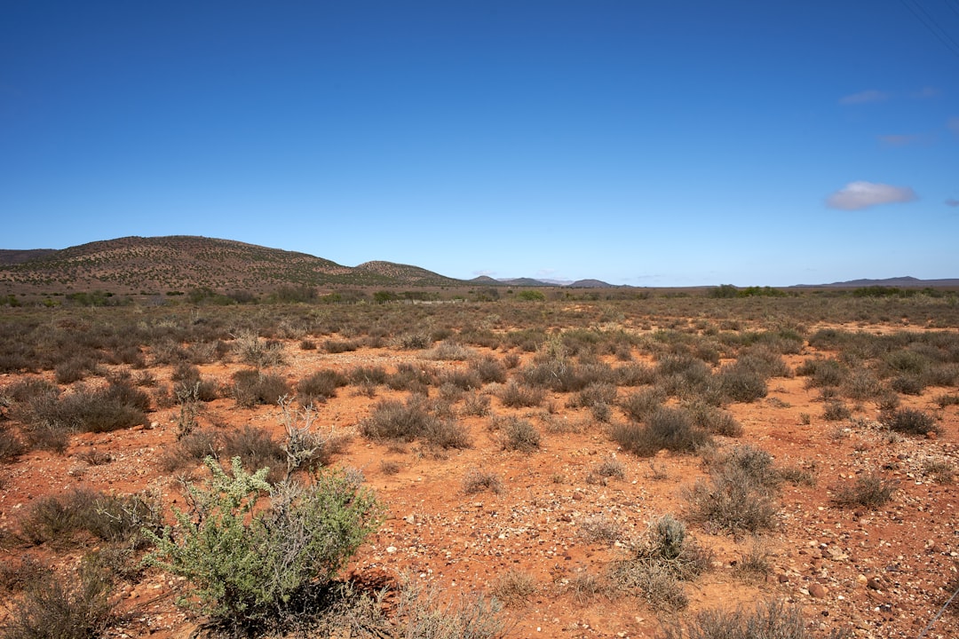 Tasmanie