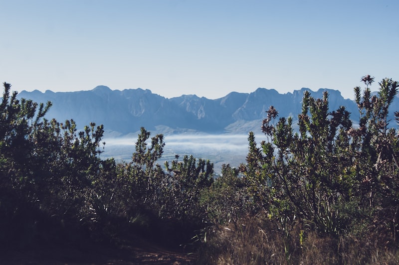 Stellenbosch / Franschhoek