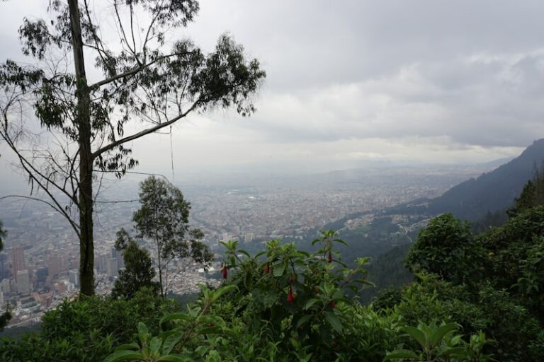 Bogotá