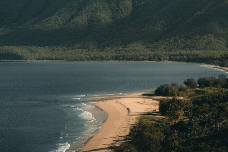 Cairns / Daintree