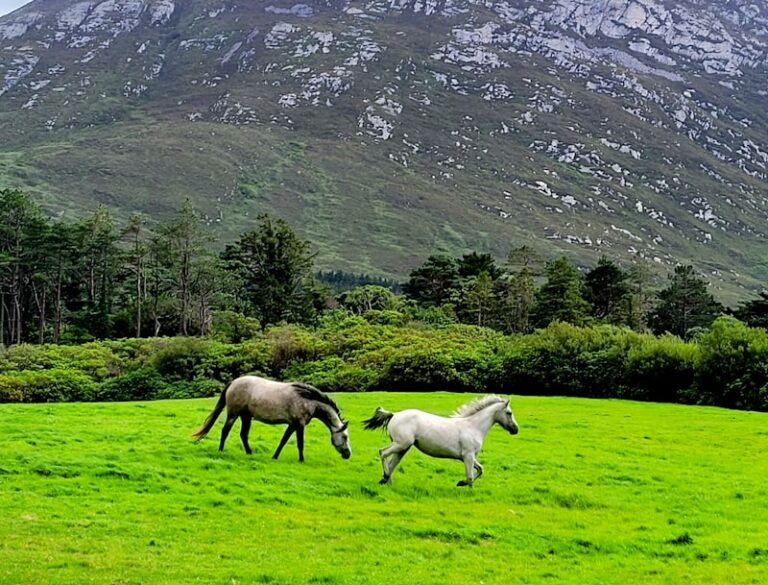 Galway