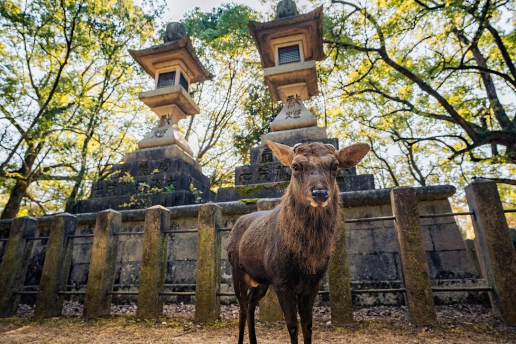Nara