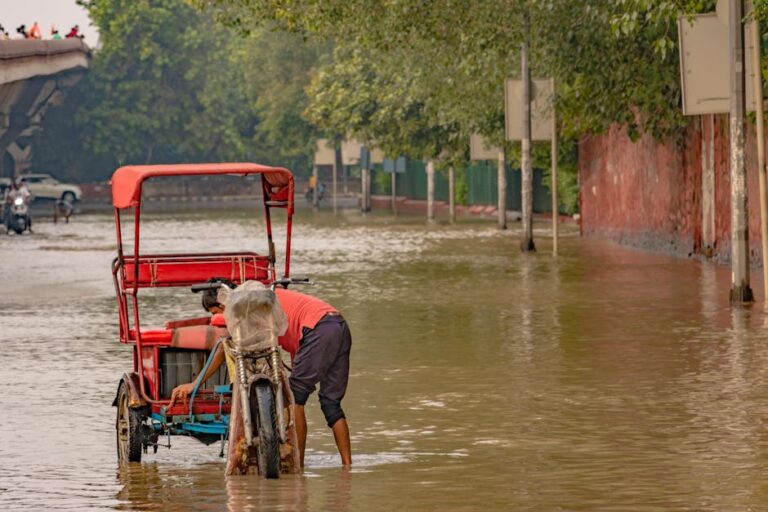 Delhi