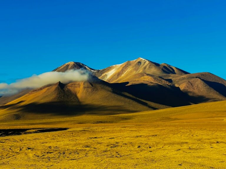 Atacama (San Pedro)