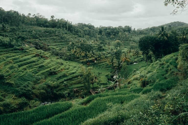 Yogyakarta