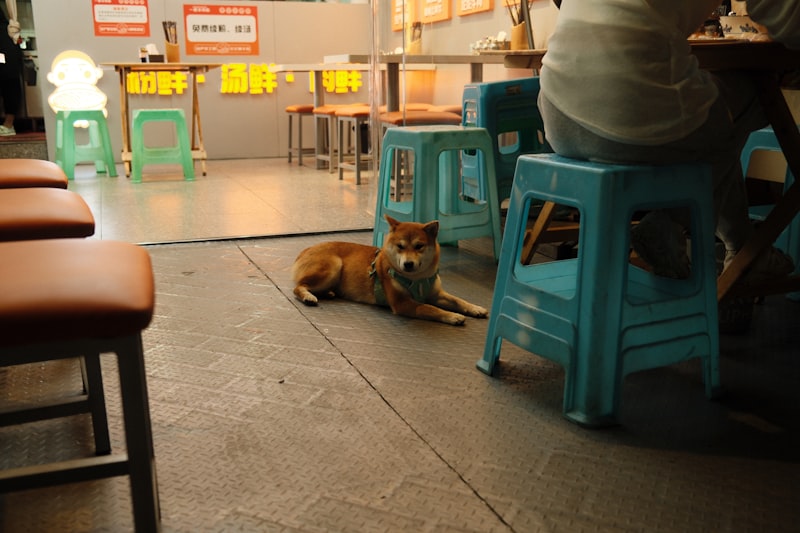 Chengdu