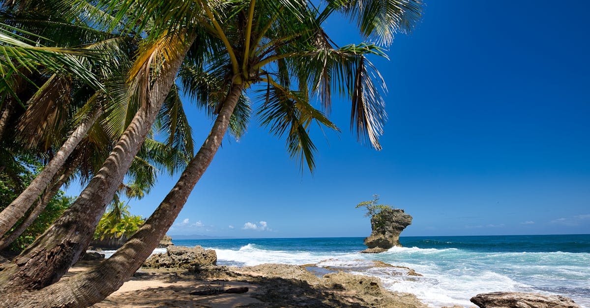 Corcovado