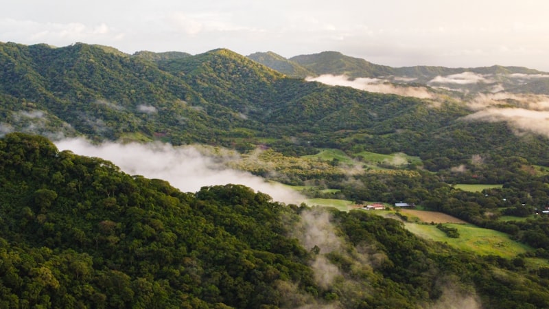 Manuel Antonio