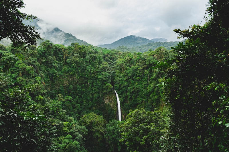 La Fortuna / Arenal