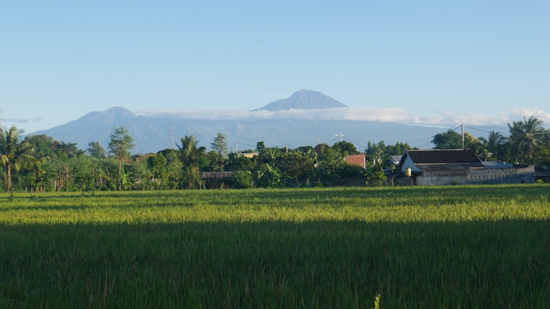 Gili / Lombok