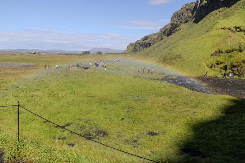 Côte sud (Vík)