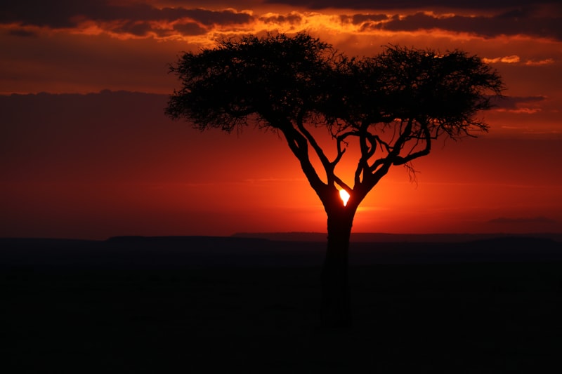 Masai Mara