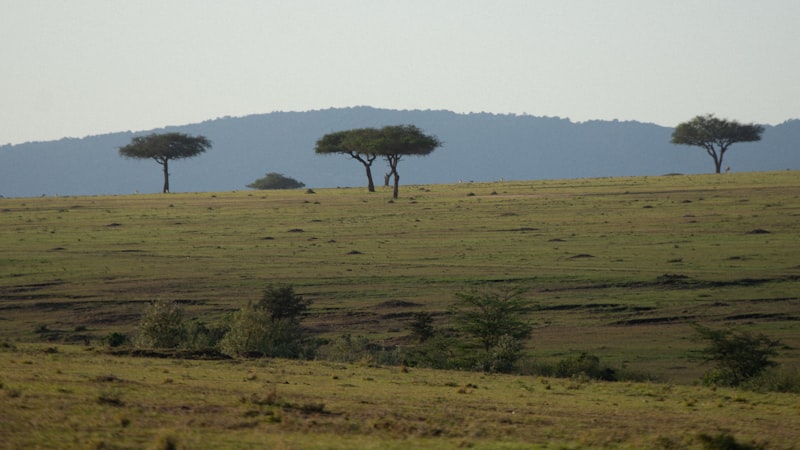 Lac Nakuru / Naivasha