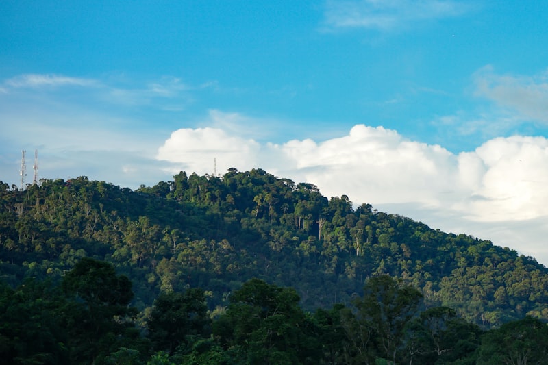 Penang (George Town)