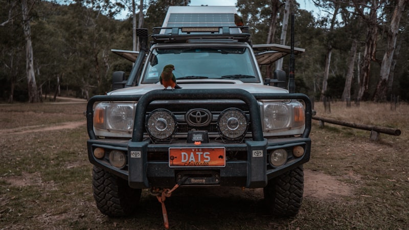 Abel Tasman