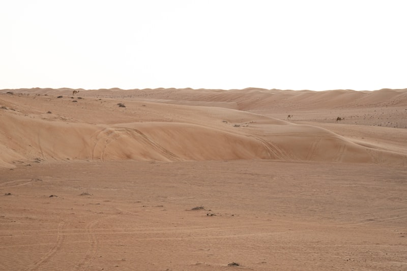 Wahiba Sands