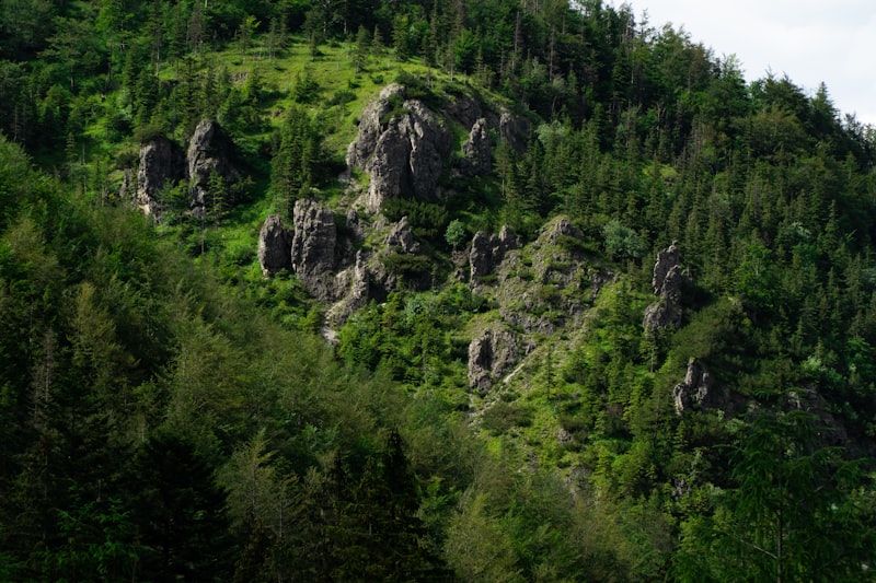 Zakopane / Tatras