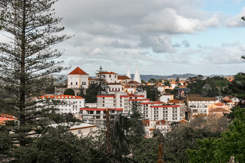 Douro (Pinhão)