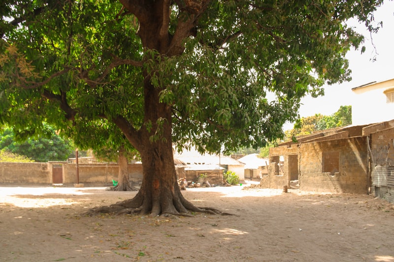 Casamance