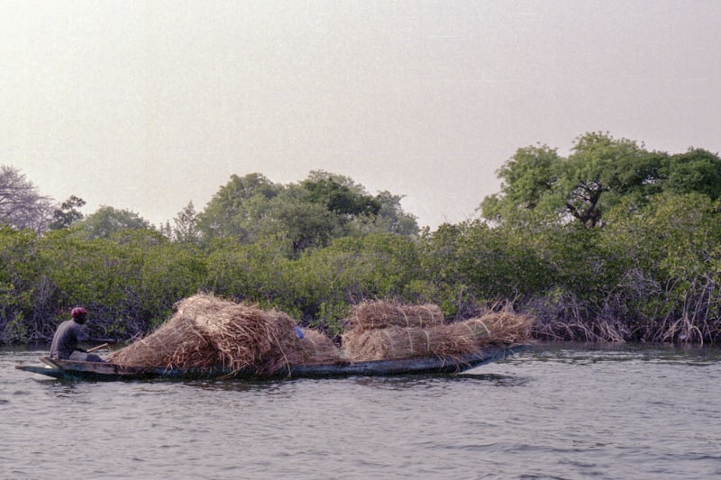 Lac Rose
