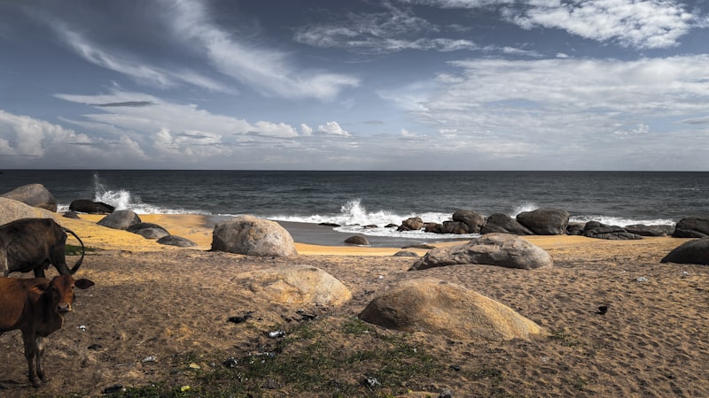 Negombo