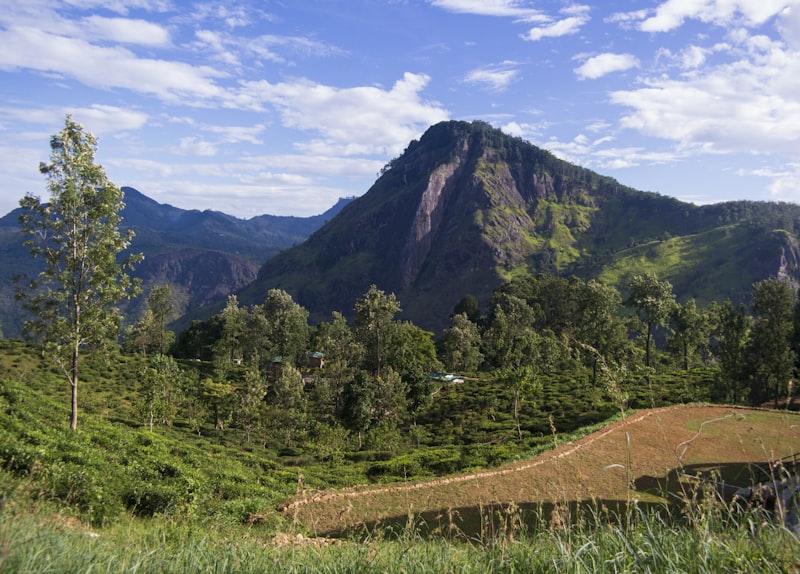 Ella / Nuwara Eliya
