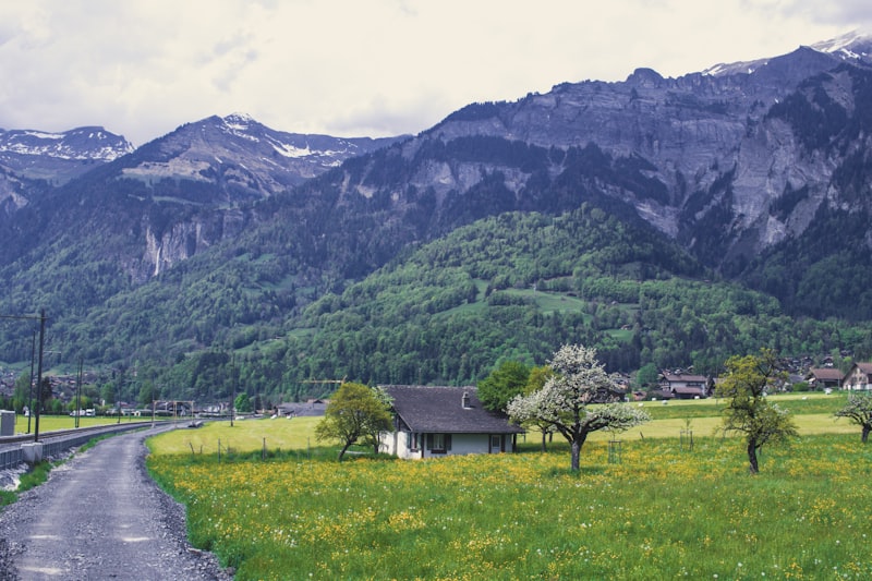 Interlaken / Jungfrau