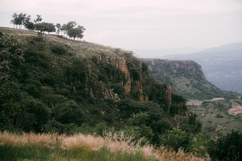 Ngorongoro