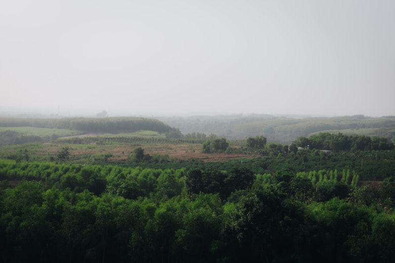 Hô Chi Minh-Ville