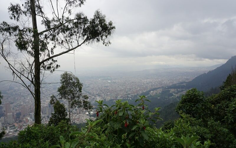 Photo représentative de Colombie